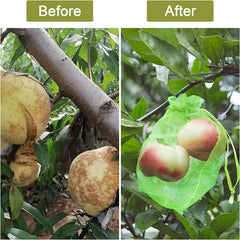 1pc Fruit Protection Bag Grape Strawberry Insect Bird proof Mesh Bag