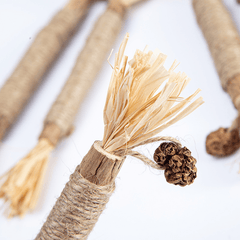 Natural Silvervine Sticks Cat Chew Toy For Kittens Dental Care