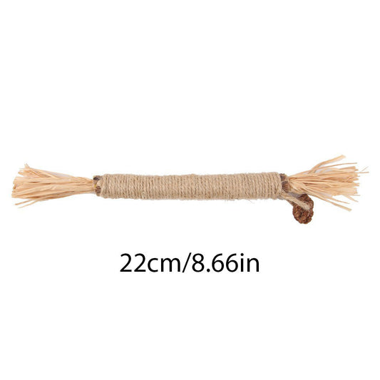 Natural Silvervine Sticks Cat Chew Toy For Kittens Dental Care