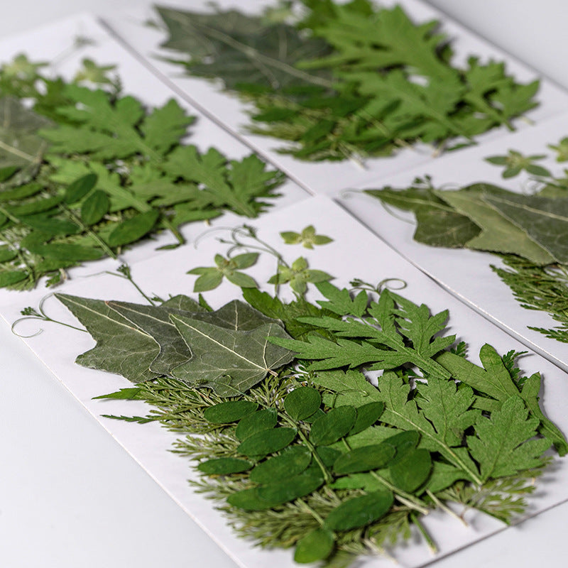 Dried Leaves & Flowers for Resin Crafts