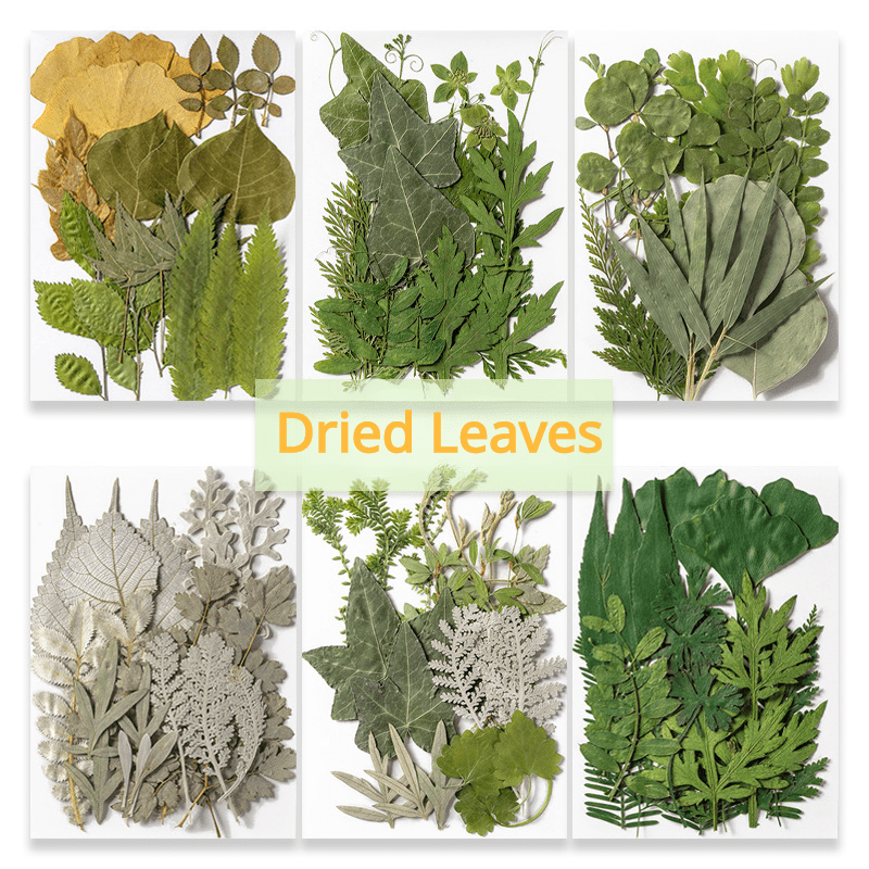 Dried Leaves & Flowers for Resin Crafts
