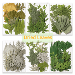 Dried Leaves & Flowers for Resin Crafts