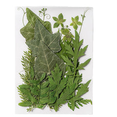 Dried Leaves & Flowers for Resin Crafts