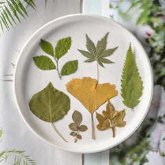 Dried Leaves & Flowers for Resin Crafts
