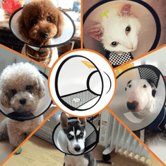 Adjustable Pet Recovery Collars: Post-Surgery Protection for Dogs & Cats