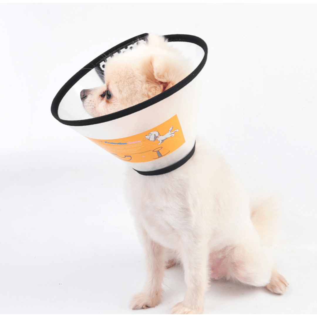 Adjustable Pet Recovery Collars: Post-Surgery Protection for Dogs & Cats