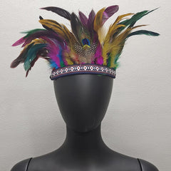 Peacock Pattern Headband Stage Performance Hair Accessories