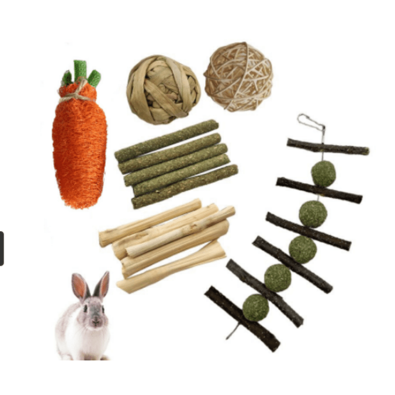 Natural Grass Ball & Branch Chew Toys for Small Pets