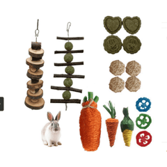 Natural Grass Ball & Branch Chew Toys for Small Pets