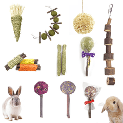 Natural Grass Ball & Branch Chew Toys for Small Pets