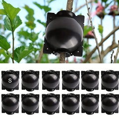 5pcs 12pcs Reusable Plant Root Growing Box for Cutting Grafting Rooting