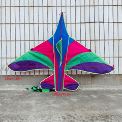 Kids Triangular Kite: Easy To Fly Outdoor Toy