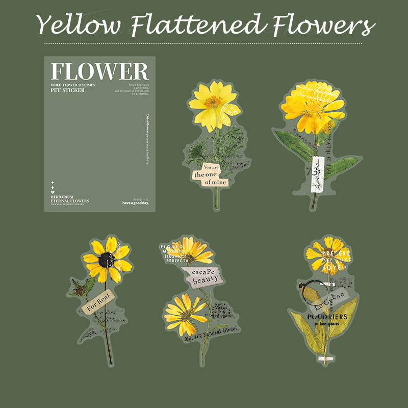 Botanical Dried Flower Stickers Collection