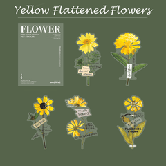 Botanical Dried Flower Stickers Collection
