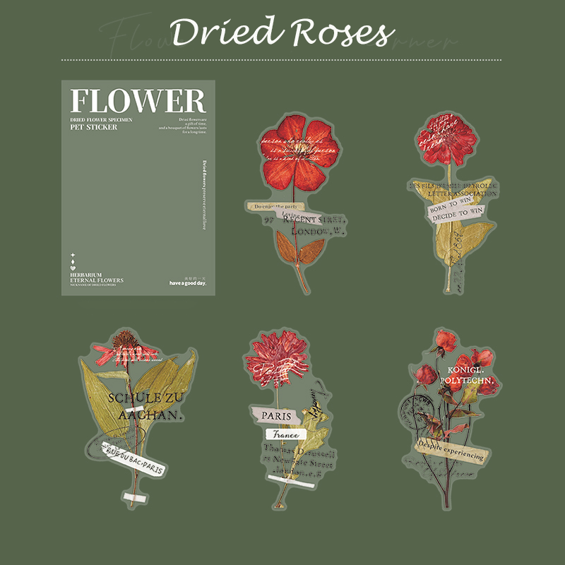 Botanical Dried Flower Stickers Collection