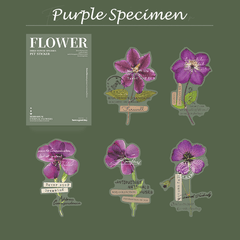 Botanical Dried Flower Stickers Collection