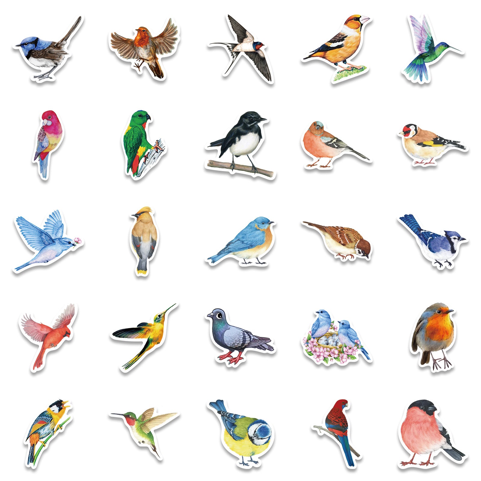 50 Watercolor Bird Stickers Room Decor Mobile Phone Computer DIY Waterproof