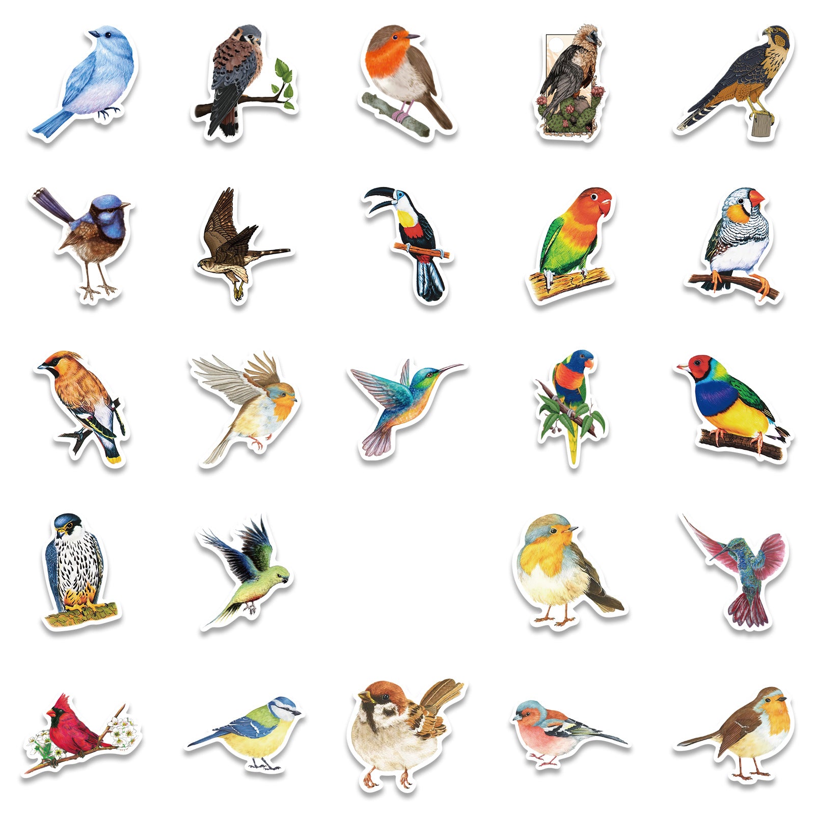 50 Watercolor Bird Stickers Room Decor Mobile Phone Computer DIY Waterproof
