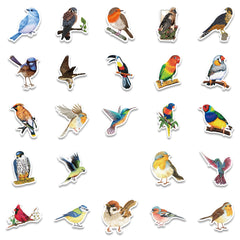 50 Watercolor Bird Stickers Room Decor Mobile Phone Computer DIY Waterproof