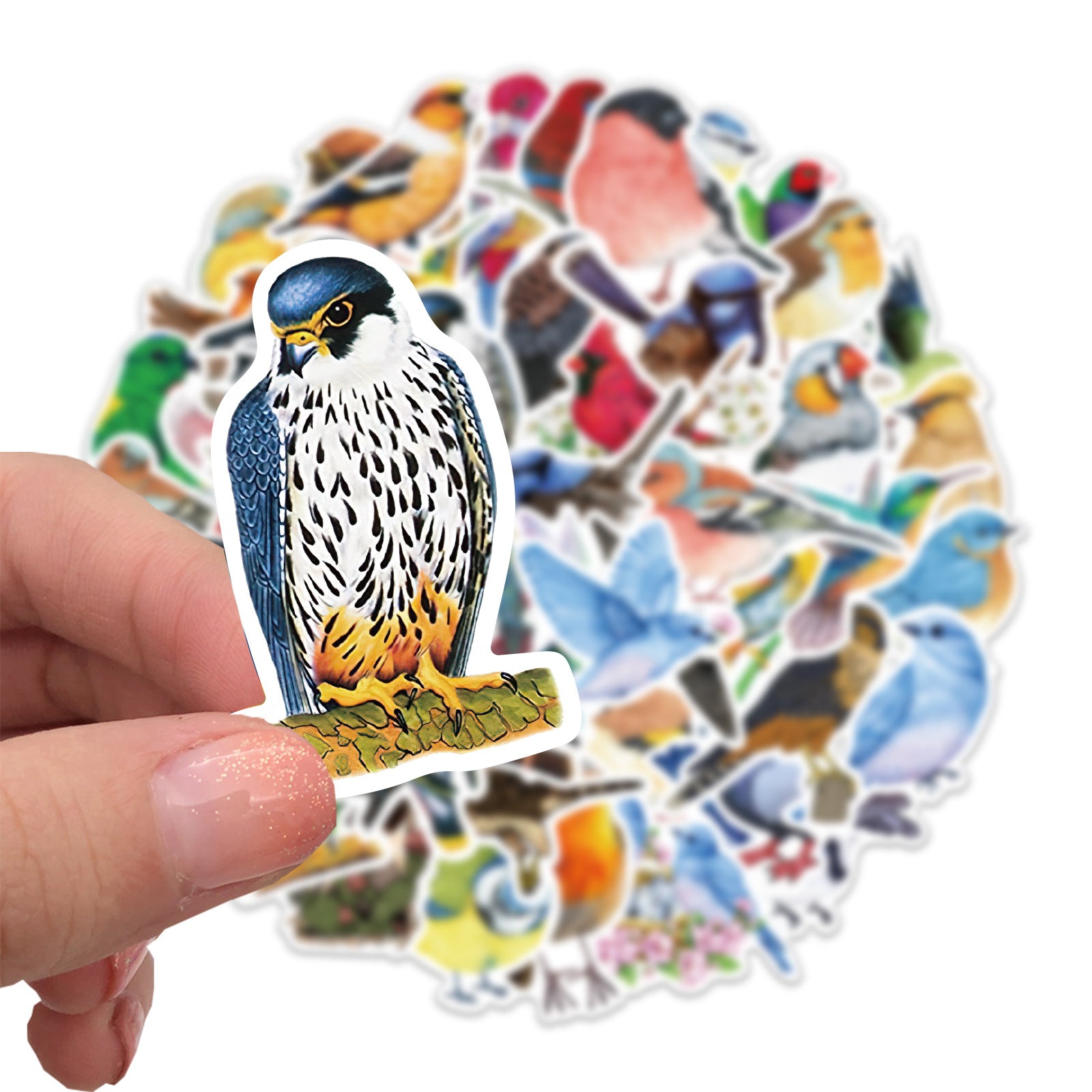 50 Watercolor Bird Stickers Room Decor Mobile Phone Computer DIY Waterproof