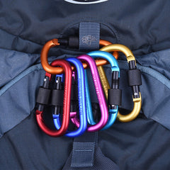 4pcs Screw Gate Carabiner Clips D Shape Keychain Hooks