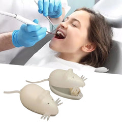 Set of 10 Cute Mouse Baby Teeth Storage Boxes - Ideal Kids Gift