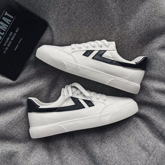 Men's Lace Up Canvas Sneakers Casual Outdoor Walking Shoes