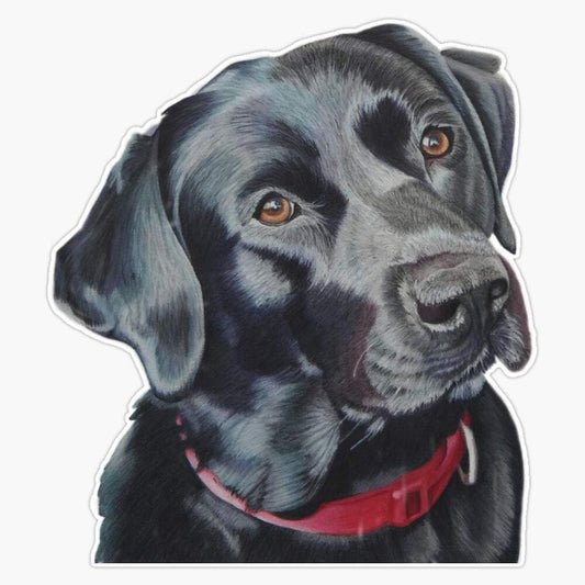 Indi The Labrador Car Stickers for Laptop Water Bottle Phone