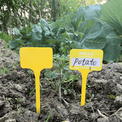 20pcs Gardening Labels T Shaped Waterproof Plastic Plant Tag Seed Marker
