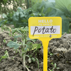 20pcs Gardening Labels T Shaped Waterproof Plastic Plant Tag Seed Marker