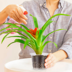 20 Plastic Plant Pots Set for Propagation and Growing