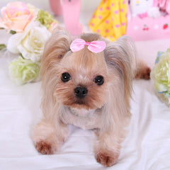 Pet Mesh Bowknot Hair Clips Hairpins for Dog and Cat Accessories