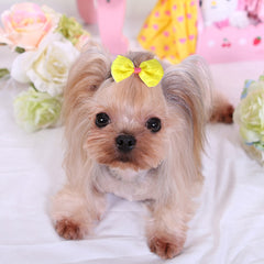 Pet Mesh Bowknot Hair Clips Hairpins for Dog and Cat Accessories