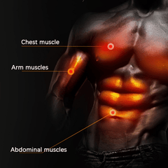 Abdominal Wheel Abs Trainer Ab Roller Belly Exercise Body Building