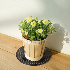 6pcs Big Plant Stands 30 48 Cm Patio Deck Floor Protector Plant Pot Elevator