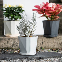 Nordic Style Resin Flower Pot for Green Plants