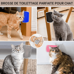 Pet Comb Cat Rubbing Brush Hair Removal Massage Comb