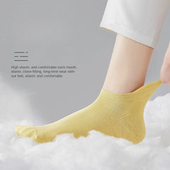 10 Pairs Lightweight Women's Ankle Socks & All-match Stockings