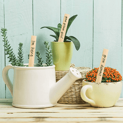 10pcs Wooden Plant Labels Insert Flower Blank Tags