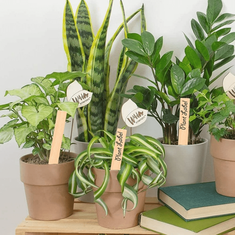 10pcs Wooden Plant Labels Insert Flower Blank Tags