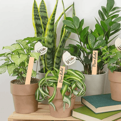 10pcs Wooden Plant Labels Insert Flower Blank Tags