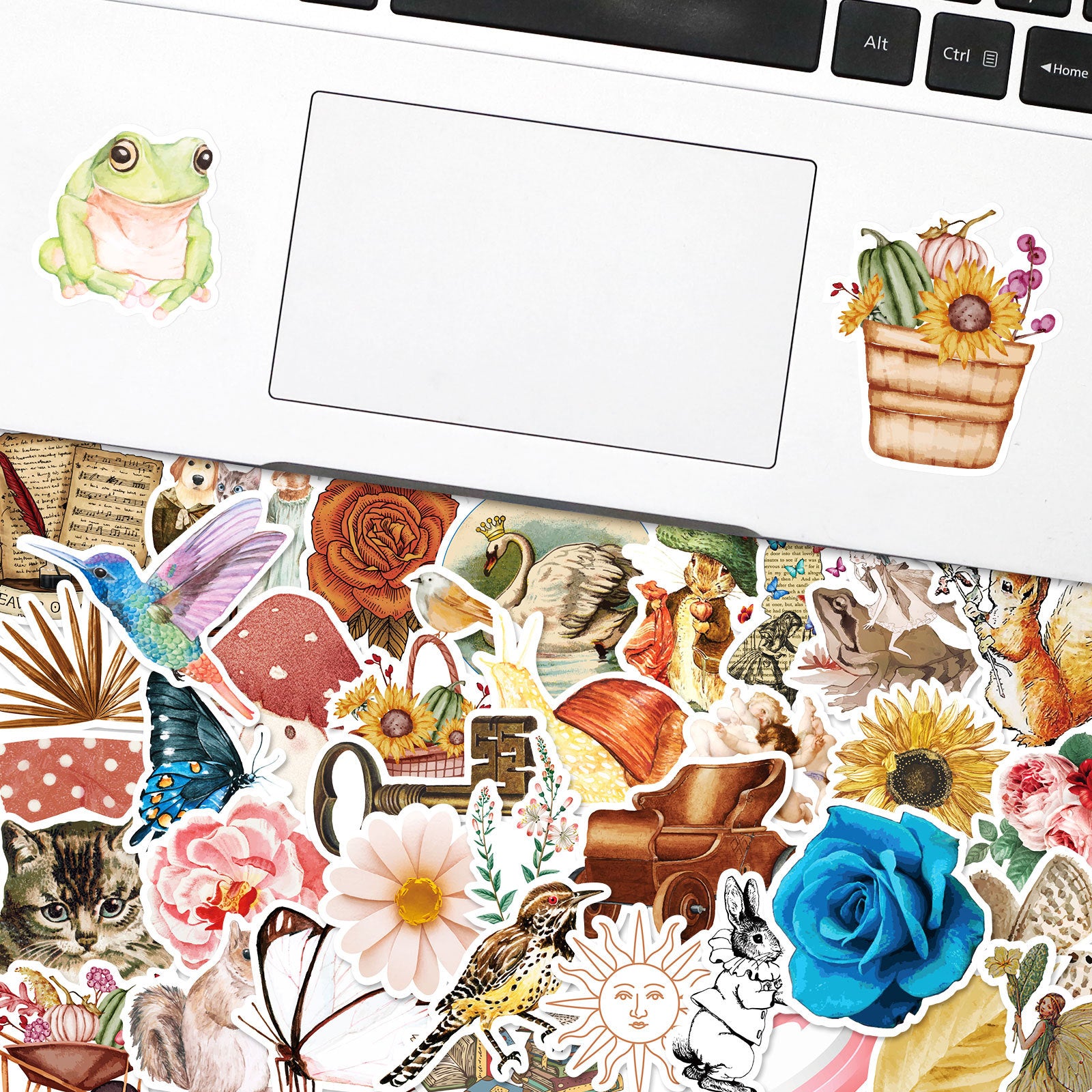50pcs Retro Flowers Animal Stickers Water Bottle Laptop Waterproof Scrapbook