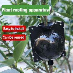 5pcs Plant Rooting Ball Garden Grafting Box Sapling