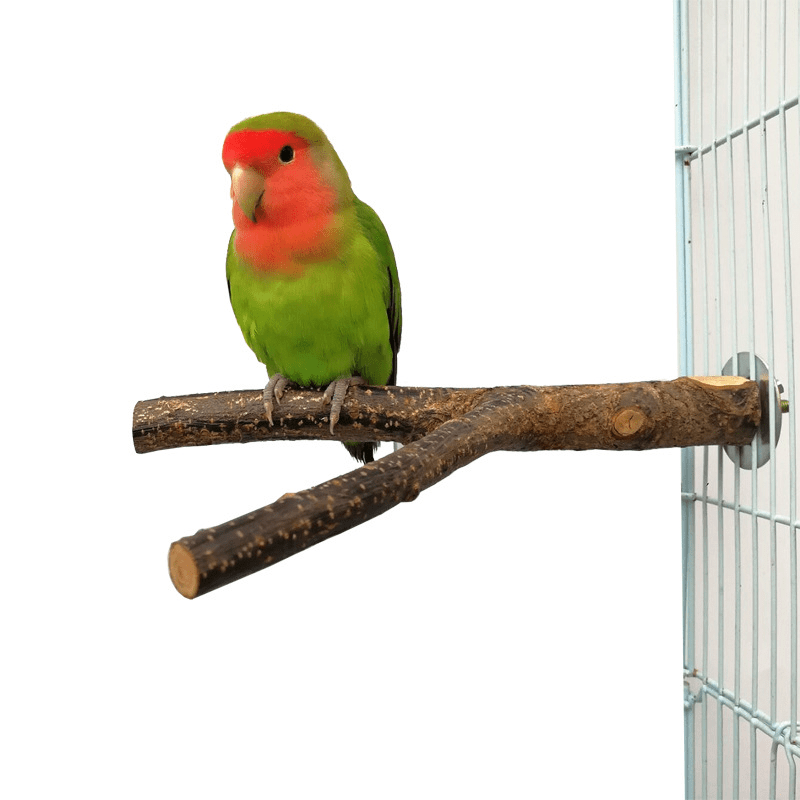 Wood Perch Stand for Parrots and Hamsters - Comfortable and Safe Resting Spot