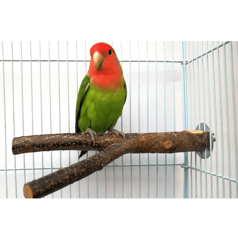 Wood Perch Stand for Parrots and Hamsters - Comfortable and Safe Resting Spot