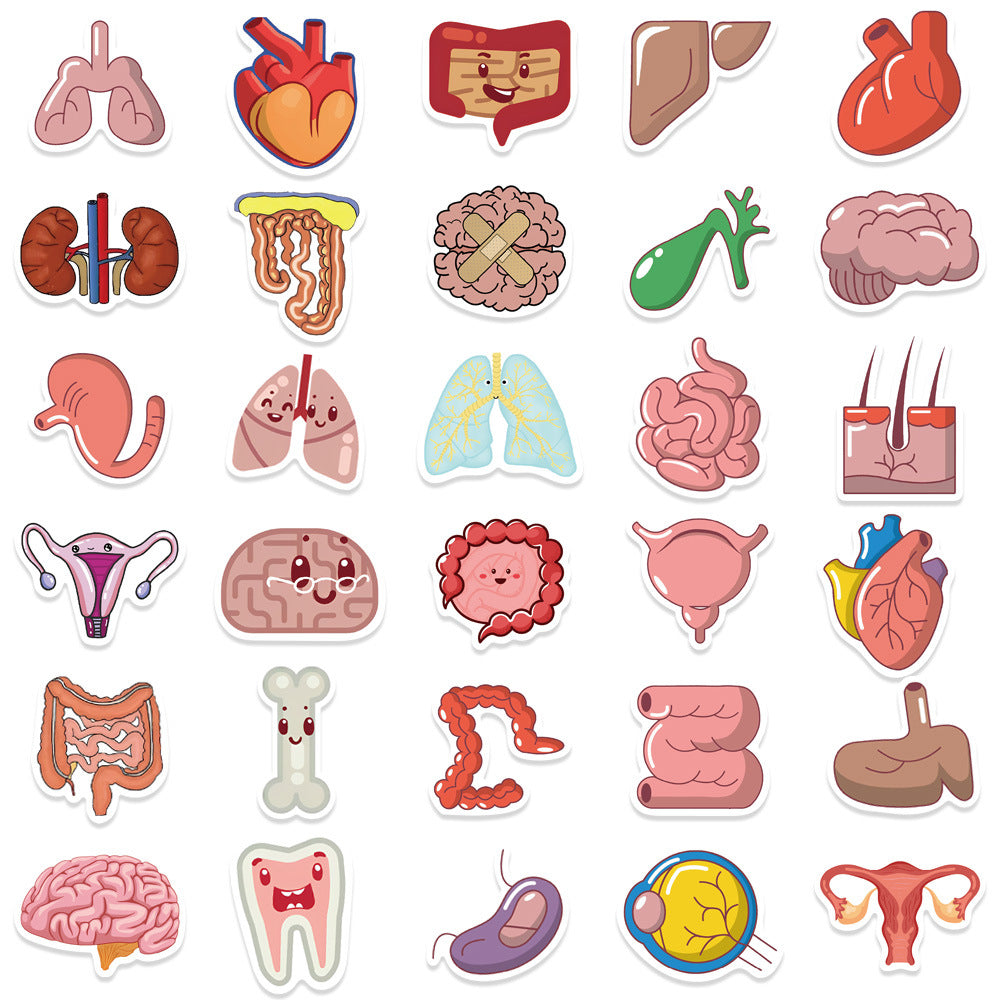 65pc Human Organs Cartoon Stickers DIY Room Decoration