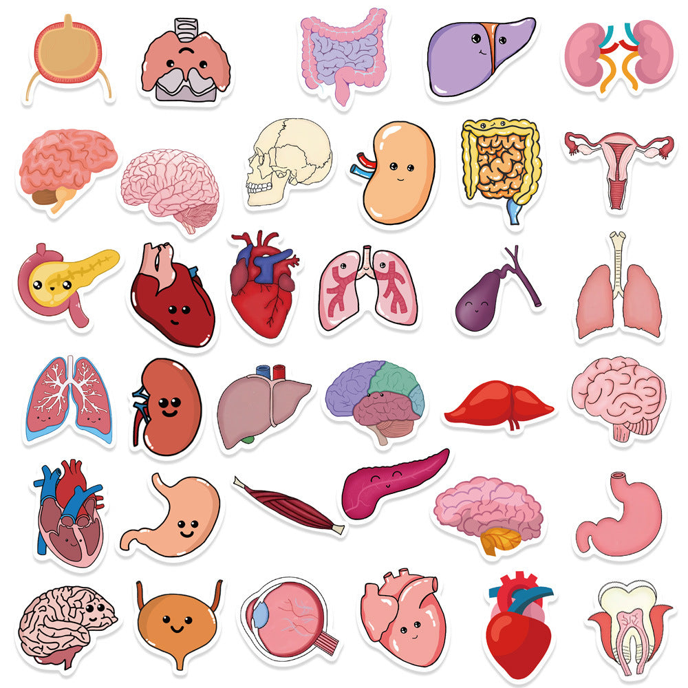 65pc Human Organs Cartoon Stickers DIY Room Decoration
