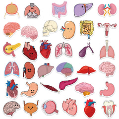 65pc Human Organs Cartoon Stickers DIY Room Decoration