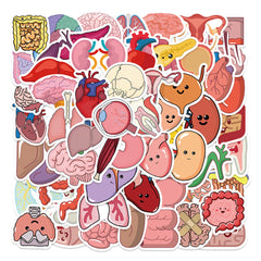 65pc Human Organs Cartoon Stickers DIY Room Decoration