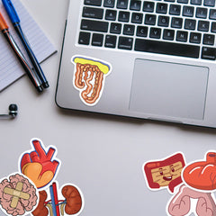 65pc Human Organs Cartoon Stickers DIY Room Decoration